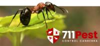 711 Ant Control Canberra image 2